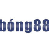 The "BongViva" user's logo