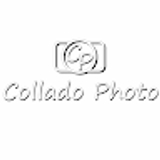 The "bookfotosmadrid0" user's logo