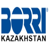 The "borrikz" user's logo