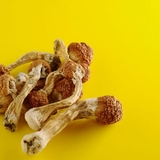 The "BUY MAGIC MUSHROOMS IN OHIO USA" user's logo