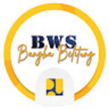 The "BWS Babel" user's logo