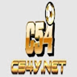 The "c54y net" user's logo