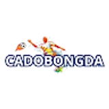 The "CÁ ĐỘ BÓNG ĐÁ" user's logo