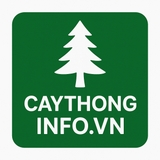 The "caythonginfovn" user's logo