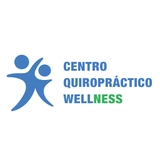 The "Centro Quiropractico Wellness" user's logo
