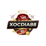 The "CEO Hạo Duy Ân" user's logo