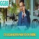 The "CEO Lucian Nguyen" user's logo
