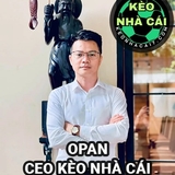 The "CEO OPAN" user's logo