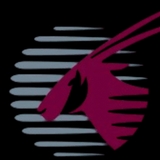The "Check visa Qatar" user's logo