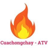 The "Cửa gỗ chống cháy An Toàn Việt" user's logo