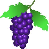cupofwine