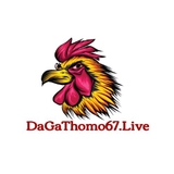 The "ĐÁ GÀ THOMO" user's logo
