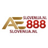 The "ĐÁ GÀ THOMO AE888" user's logo