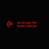 The "Đá Gà Trực Tiếp Thomo Hôm Nay" user's logo