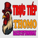 The "dagatructiep494" user's logo