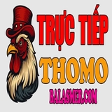 The "dagatructiepbalas" user's logo