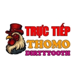 The "dagatructiepdir" user's logo