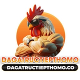 The "Đá Gà Trực Tiếp THOMO" user's logo
