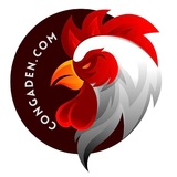 The "daga tructiep" user's logo