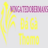 The "dagawingate" user's logo
