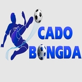 The "Cá Cược Bóng Đá " user's logo