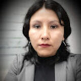 The "NATIVIDAD QUISPE CACERES" user's logo