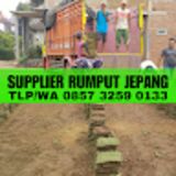 The "Distributor Rumput Jepang" user's logo