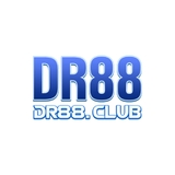 The "DR88" user's logo