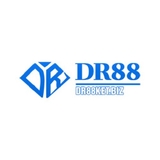 The "dr88ketbiz" user's logo