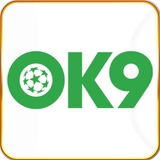 The "OK9 com" user's logo