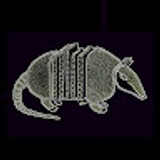 The "El Armadillo" user's logo