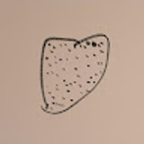 The "Tsvilodub Tetiana" user's logo