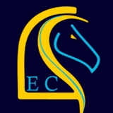 Etrierchiroquois