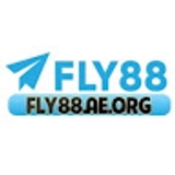 The "FLY88" user's logo