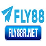 The "Fly88r net " user's logo