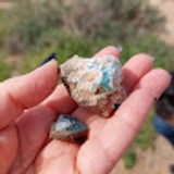 אנסטסיה וולצונוק