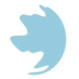 The "fr2007 cist" user's logo