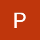 The "Palesa Tshoane" user's logo
