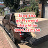 Gỗ Plywood nhập khẩu