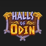 The "Halls of Odin" user's logo