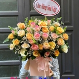 hanoishophoa