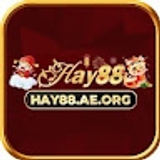 The "hay88aeorg" user's logo