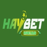 The "HAYBET" user's logo