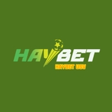 The "Haybet" user's logo