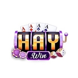 The "Haywin" user's logo