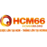 The "HCM66" user's logo