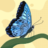 Hadassah Bwalya