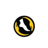 The "Houston Hand and Foot Orthopedics" user's logo