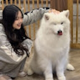 柯惠玟  