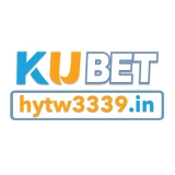 The "HYTW3339 IN" user's logo